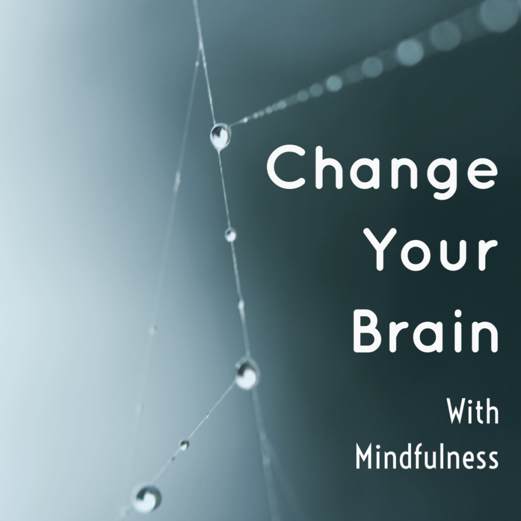 Change Your Brain With Mindfulness