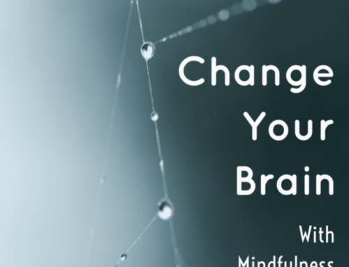 Change Your Brain With Mindfulness