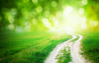 rural road through a green pasture