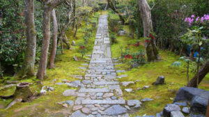 Stone path through a zen garden