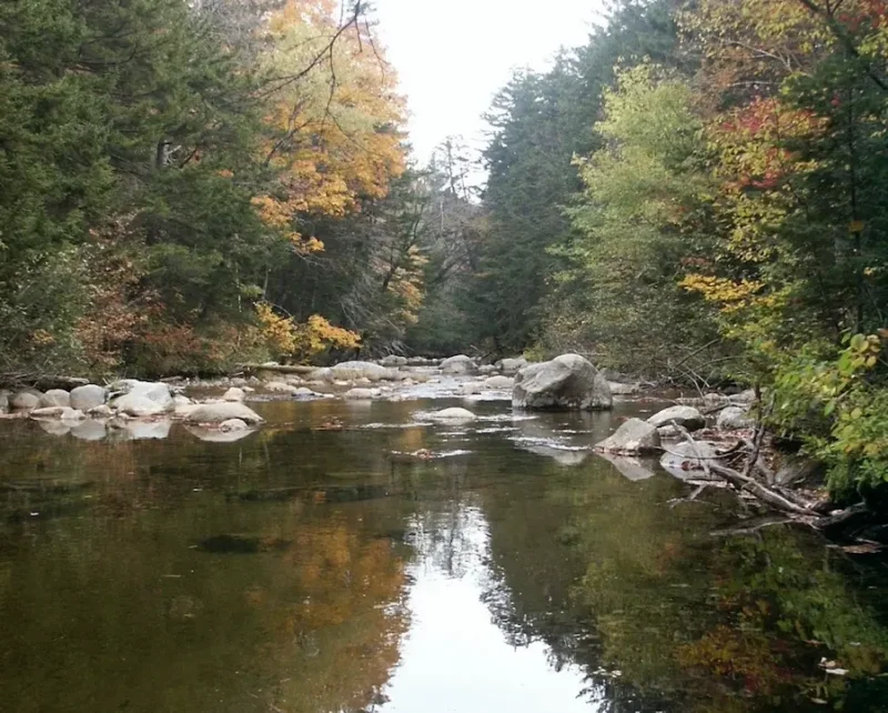River Scene with rocks and trees
